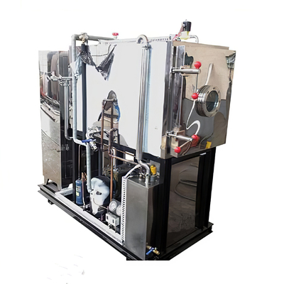 FD πολυσύνθετη κενή ξηρότερη μηχανή παγώματος του /Food μηχανών λυοφιλοποίησης (ελεύθερη τσάντα φύλλων αλουμινίου αργιλίου!)
