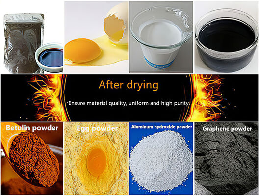 LPG-5 Μίνι Εργαστηριακός Στεγνωτήρας Ψεκασμού Υπό Κενό Χαμηλής Θερμοκρασίας με Χωρητικότητα 5 Λίτρων και Έλεγχο Θερμοκρασίας 30~300℃ για Εξάτμιση 1kg/h